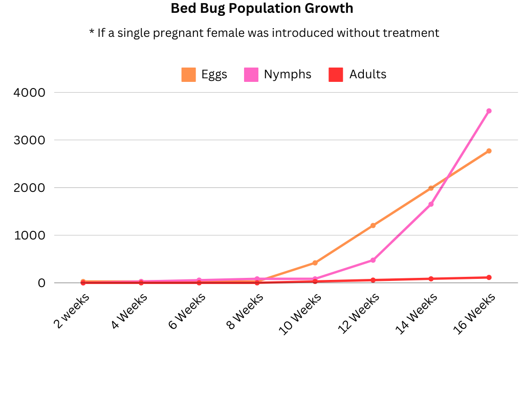 bed bug population growth chart